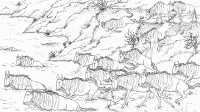 A coloring page of nature in africa